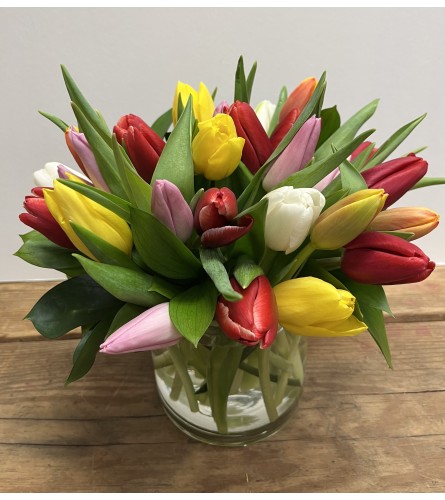 Time for Tulips - Send to Arlington, VA Today!