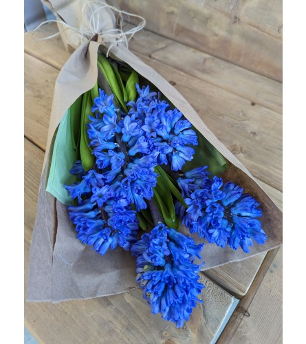 Heaven Hyacinths *Seasonal Feature*