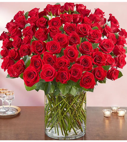 Elegant 100 Premium Long Stem Red Roses