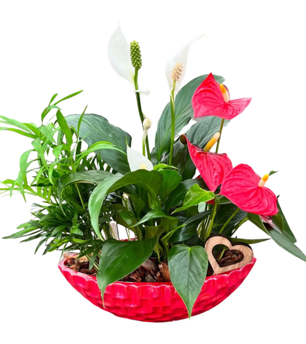 Valentine's Day Boat Indoor Planter