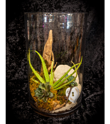 Take on Me Terrarium