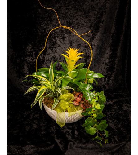 Sentimental Moments Plant Basket