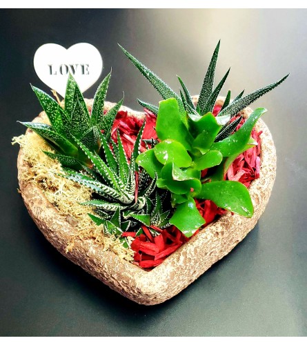 Succulent love garden