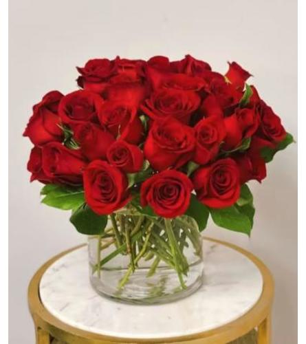 Modern Valentine Roses