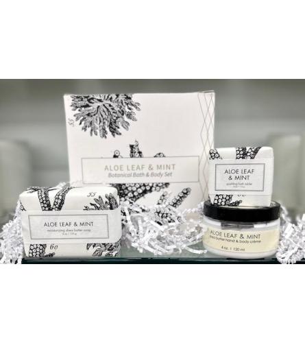 Botanical Bath & Body Set