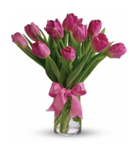Valentine's pink tulips