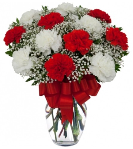 red & white carnations vased