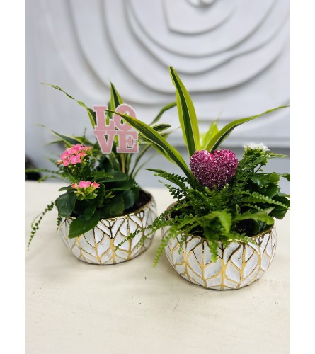 White and Gold Planter