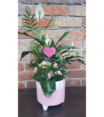 By Design Pretty in Pink Tropical Planter