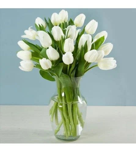 White tulips in a vase