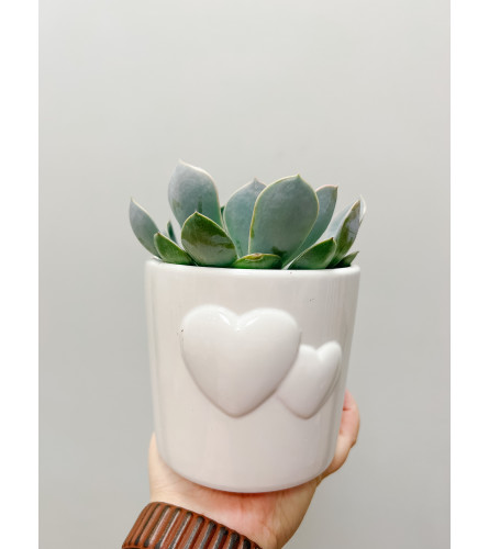 Heart Succulent Planter