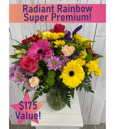 Radiant Rainbow Super Premium (IF). An arrangement by Incredible Florist Seton.