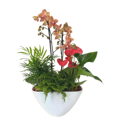 Large EileenTropical Planter - Deluxe. An arrangement by Flowers Plus.