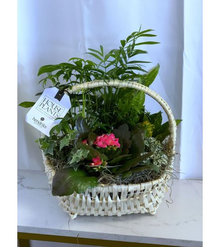 Medium Delaware Garden Basket