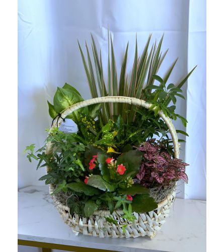 Delaware Planter Basket (Large)