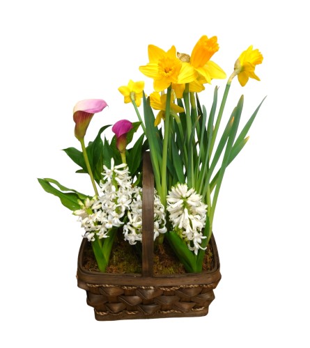 Blooming Plants Gardener Basket