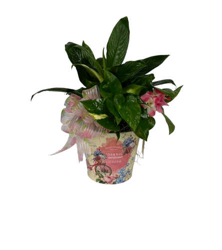 Spring Bicycle Planter - Deluxe. An arrangement by Timp Valley Floral.