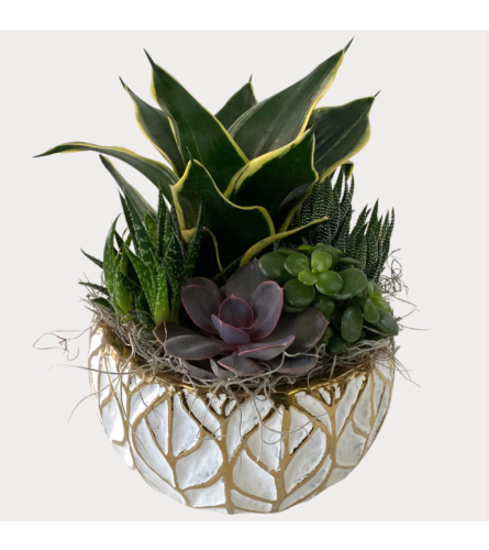 Gold Leaf Succulent Planter1