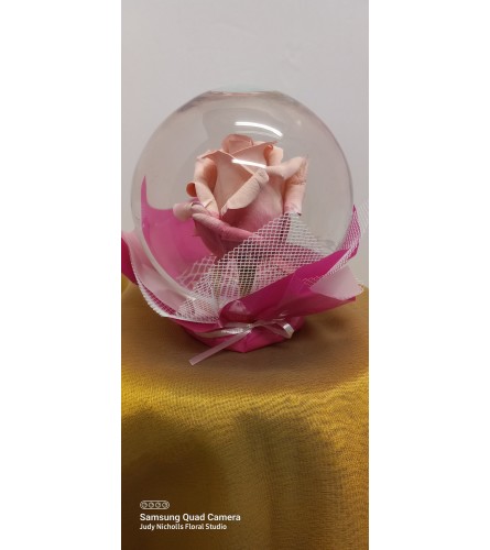 Real Rose Globe Two-Tone Pink