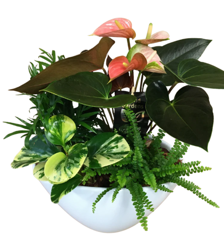 Tropical Elegant Planter