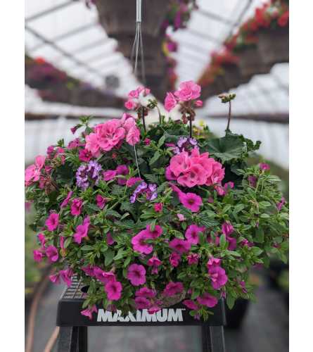 Outdoor Blooming Hanging Basket