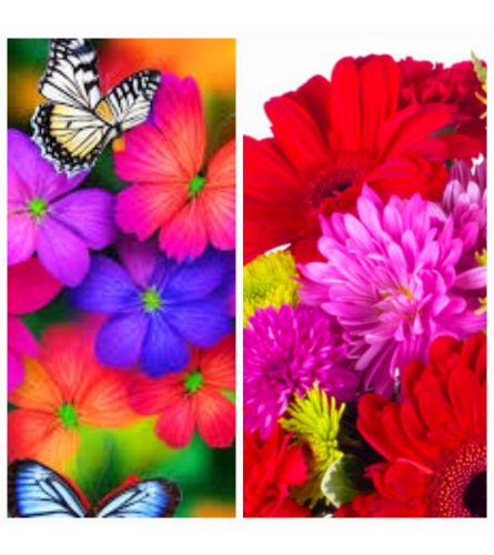 CUSTOM RAINBOW OF HAPPINESS BUTTERFLY BOUQUET