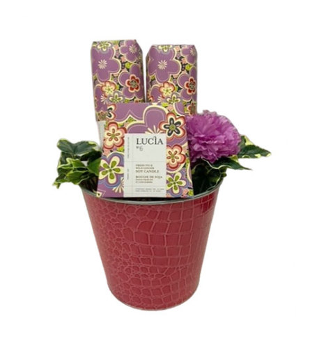 Soothing Days Gift Basket