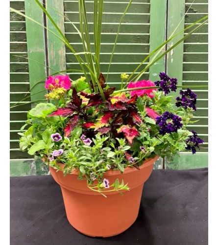 Outdoor Patio Pot--English Garden. An arrangement by Forest Florist.