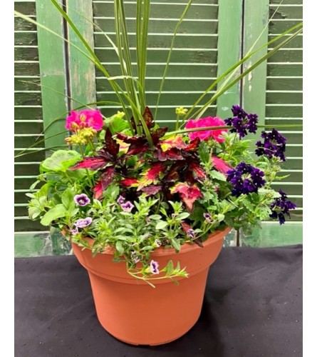 Outdoor Patio Pot--English Garden