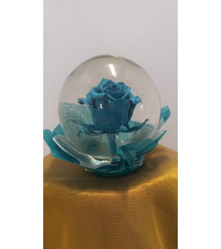 Blue Real Rose Globe