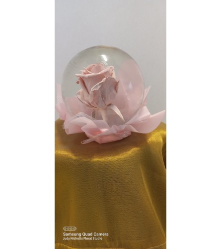 Real Rose Globe - Pink