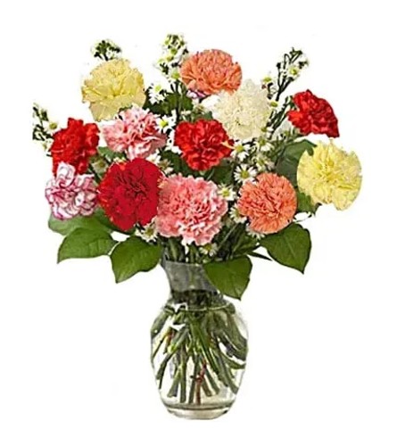 Assorted Carnations (wrapped or vase)