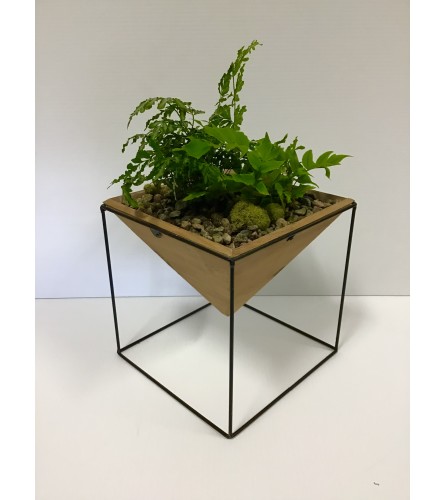 Geo fern planter