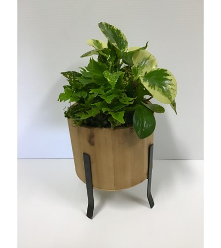 Barrel tropical planter