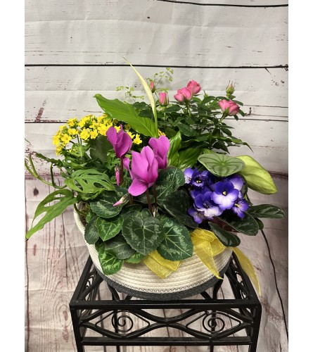 12” Woven planter basket