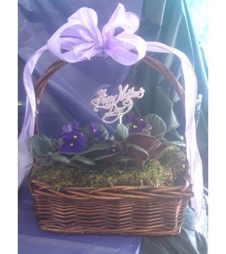 VIOLETS ARE BLUE. An arrangement by Howard Beach Florist.