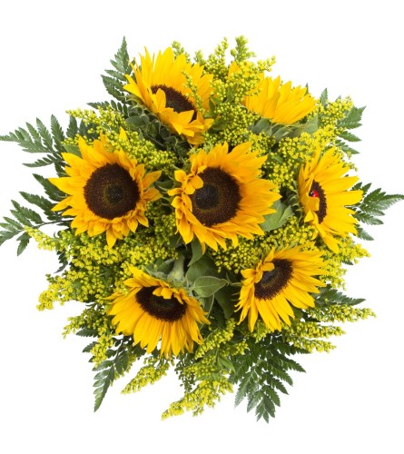 SUNSHINE LOVE-A - Deluxe. An arrangement by Triple A Florist.