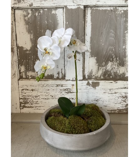 Faux White Potted Orchid