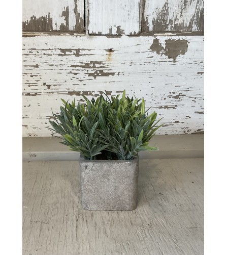 Faux Plant in Square Clay Pot