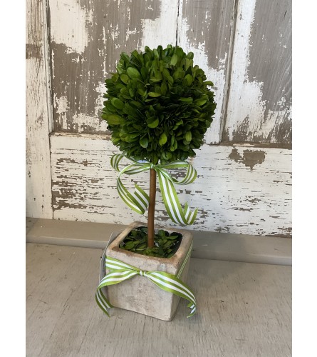 Faux Round Tree in Square Pot. An arrangement by Metcalfe Florist and Pleasant View Greenhouses.
