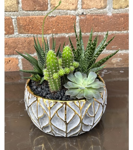 'By Design' Succulent Garden