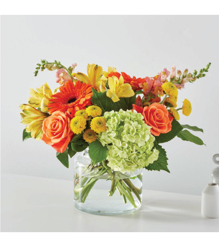 Floral Insight's Autumn Sunshine