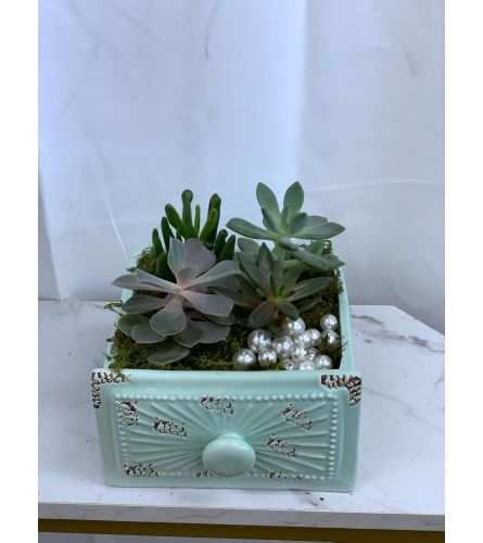 Mother of Pearl Succulent Garden Planter