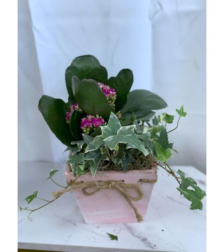 Small Wildflower Box Garden Planter