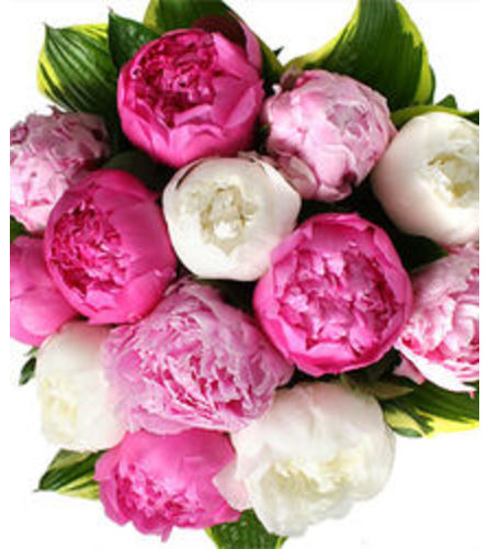 Peony Cut Bouquet. An arrangement by Mardi Gras Florist.