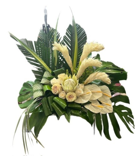 Tropical White Beauty. An arrangement by Dream Decorations Florist.