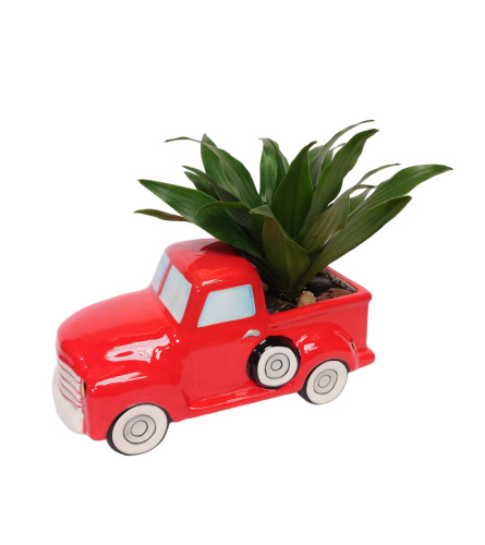 Truck Planter