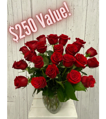 24 Premium Red Roses (IF)