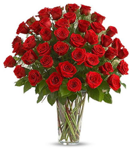 50 Luxury Red Roses (Pre-Order Special!)