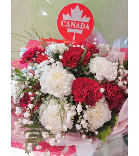 HAPPY CANADA DAY CARNATIONS!